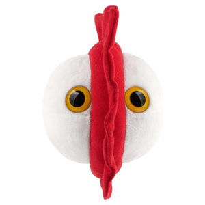 Nuevo Muñeco Educativo de Peluche Rojo <span class=keywords><strong>con</strong></span> Ojos de Plástico Realistas y Borde de Felpa, Redondo, <span class=keywords><strong>con</strong></span> Diseño de Verrugas, para la Habitación Familiar o Guardería, Juguete Educativo Personalizado - Product Image 1