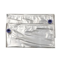 1L/3L/5L aseptique/Aluminium/plastique/transparent/personnalisé/sacs à bavoir pour lait/vin/café/eau/huile