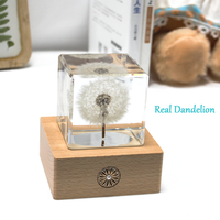 Lampe de nuit LED en cristal de fleur de pissenlit naturelle séchée, écologique et polie, cadeaux et artisanat
