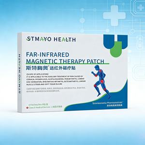 中国医学にインスパイアされた医療用鎮痛パッチ低刺激性 - Product Image 6