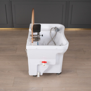 Defeinuo Luxury White Hair Washing Head Therapy Spa No Plumbing <strong>Portable</strong> <strong>Shampoo</strong> Basin <strong>Sink</strong> With 60l Water Tank for Beauty Bed - Product Image 2