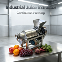 Industriële spiraalpers met crusher, 220V, hoge productiviteit voor fruitverwerkingsbedrijven