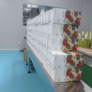 Ginseng Five Treasure Thé de santé à base de plantes chinoises pour hommes Nourrissant les reins et la fertilité Minceur Thé en - Product Image 6