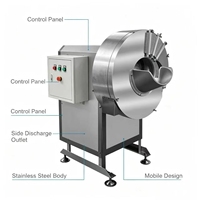 DQC-300S Bamboescheuten snij- en schaafmachine, centrifugale groentesnijder voor gember, wortels en voedselverwerkingsfabrieken