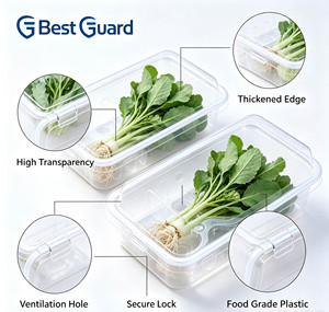 Envase de Plástico PET Reciclable Personalizado de 1 mm para Propagación de Plántulas, Tipo Concha, para Iniciadores de Plantas de Hierbas - Product Image 3