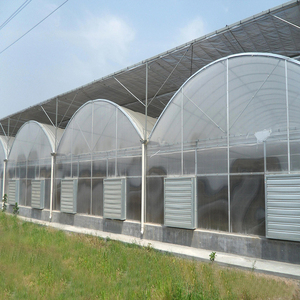 Rideau latéral Skyplant en PE double couche à isolation thermique, avec support anticorrosion, pour toutes les saisons, usage agricole - Product Image 1