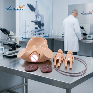 Manichino a grandezza naturale per addestramento all'assistenza all'illuminazione, modello realistico in PVC per simulazione di parto, per l'insegnamento in laboratorio medico, certificato CE/ISO/ROHS/CNAS - Product Image 2