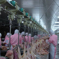 Petite et grande machine de ligne d'abattage de poulets de caille et de poulets de chair avec moteur et composants de noyau de roulement équipement d'abattage de volaille