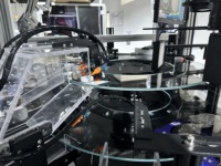 Máquina de inspección automática de visión de cámara de alta velocidad para control de calidad de etiquetado