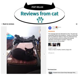 Lit de <span class=keywords><strong>massage</strong></span> coréen Cama De Masaje Camilla <span class=keywords><strong>Jade</strong></span> Master V3 V6, tapis thermique en céramique électrique, rouleau de spa, thérapie chauffante infrarouge - Product Image 6