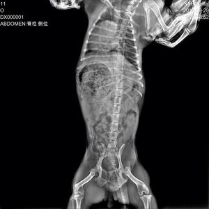 الأشعة السينية الرقمية اللاسلكية مع برنامج معدات الأشعة Iray Mars وv Mars بسعر البيع - Product Image 6