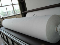 Géotextile à haute perméabilité pour le drainage des voies ferrées