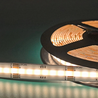 Fcob Strip Lights U L Ce Rohs 840leds/m Rgtcct 3000k 4000k 6500k Dc24v 12mm Wide Cob Lights Cri90 Fcob Led Strip Light