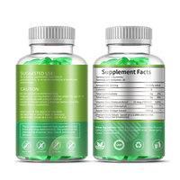 Aeglewell OEM Marque Privée Gommes de Chlorophylle Sans Sucre Soutien Immunitaire Énergie Revitalisante Santé de la Peau Complément Alimentaire