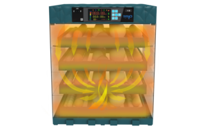 <span class=keywords><strong>Incubateur</strong></span> d'<span class=keywords><strong>oeufs</strong></span> de poule solaire 24-30000 <span class=keywords><strong>Incubateur</strong></span> d'<span class=keywords><strong>oeufs</strong></span> à température constante Écloserie - Product Image 5
