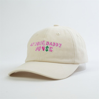 Chapeaux de papa 100% coton personnalisés pour enfants, logo de broderie personnalisé 6 casquettes de baseball non structurées