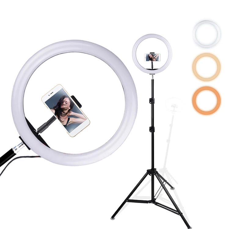 Hot Sale 12 inch LED Ring Light with Tripod Stand for Photography Video Makeup Ring Fill Light