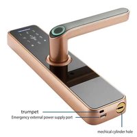 Concurrerende Prijs Waterdicht Smart Lock Wifi Tuya Deurslot Mechanische Sleutel Vingerafdruk Wachtwoordvergrendeling