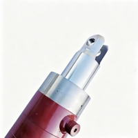 Chaolutong Nouveau Cylindre de Direction pour Chariot Élévateur 16115404202/16115404200/3075404201 Pièces Détachées Linde E25/E30/E35 1T-10T