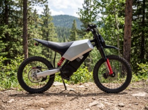 Motocicleta Mimbob EM22-3 de 2500W/4000W, 60V/27A, Velocidad de 70 km/h, Tres Velocidades, para Adultos, para Carretera de Montaña - Product Image 4