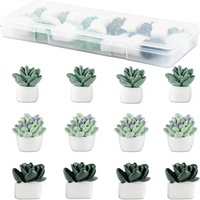 Lot de 12 aimants de réfrigérateur rectangulaires en plastique, motif succulente, pour accessoires de bureau - Styles assortis, décoratifs