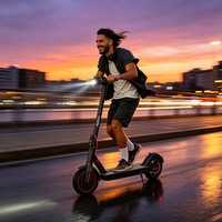 Trottinette électrique pliable 650W pour adultes, vitesse maximale 25 km/h, batterie 36V, personnalisation OEM disponible, vente en gros