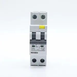 Low price direct selling NXBLE-32 2 poles Chint automatic switch circuit breakers electronic