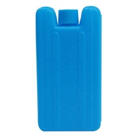 Mini brique de glace en gel portable sûre non toxique Pack de glace réutilisable rigide Refroidisseur de briques de glace réutilisable