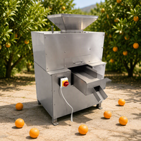 Nouveau presse-agrumes électrique commercial pour oranges, citrons, citrons verts mexicains et citrons verts du désert australien
