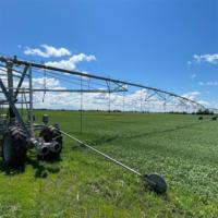 Système d'irrigation linéaire mobile 2025 pour l'irrigation agricole
