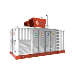 Laag Genoteerde Custom Gas Vermogen 2 Megawat 1000W 500kw 300kw 250kw Aardgasgenerator Of Aardgas Genseator Sets