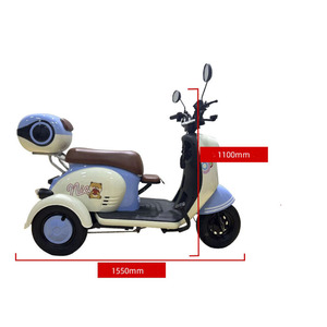Triciclo Eléctrico de Pasajeros de 2 Plazas, Estilo Scooter Retro, Triciclo Eléctrico para Adultos - Product Image 1