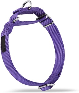 Collar antirrobo de nailon para mascotas, collarín de alta resistencia mejorado para perros, entrenamiento y caminar - Product Image 6