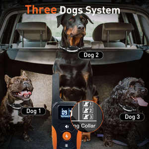 Nouveau modèle de batterie au lithium rechargeable, plastique, écologique, IPX7, fournitures d'entraînement pour animaux de compagnie, <span class=keywords><strong>chien</strong></span> commandé à distance, choc électrique - Product Image 5