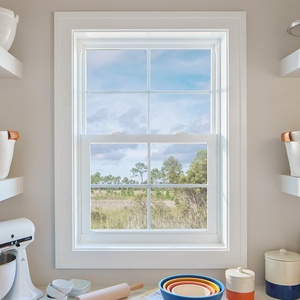 Nuoxin Bắc Mỹ Vinyl năng lượng Sao cửa sổ duy nhất treo 30x60 duy nhất TREO CỬA SỔ giá rẻ nhà cửa sổ để bán - Product Image 2