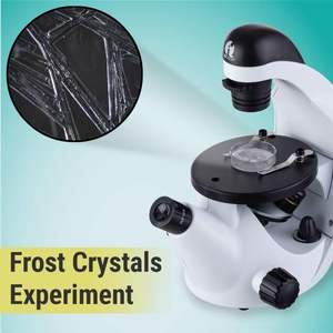 Kit de <span class=keywords><strong>microscope</strong></span> inversé pour étudiants IQCrew 40X-500X avec LED, expériences, et lamelles vierges et préparées - Product Image 3