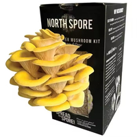Boîtes d'emballage en carton ondulé pour kit de culture de champignons de la mer biologiques avec impression personnalisée
