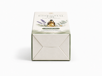 Cartons pliables personnalisés écologiques et recyclables avec fermeture à languette, finition brillante/mate pour la vente au détail de flacons d'huiles essentielles et cosmétiques
