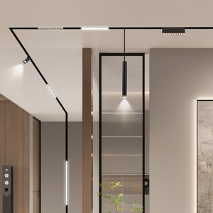 Dingdian dẫn 12W/24W/36W DC48V từ theo dõi lũ ánh sáng với 3000K/4000K/6000K màu Temp thiết kế hiện đại cho nhà & văn phòng - Product Image 1