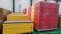 Tapis de lutte personnalisé, tapis d'arts martiaux, tapis d'entraînement de judo, 2m x 1m, mousse haute densité pour salle de sport, dojo, club