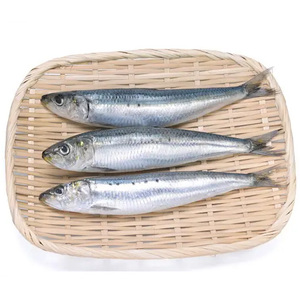 <span class=keywords><strong>Sardinas</strong></span> Congeladas de Acuicultura de Fábrica de Mariscos Congelados, Pescado Congelado a Bajo Precio, <span class=keywords><strong>Sardinas</strong></span> a Granel - Product Image 3
