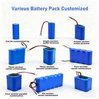 Baterai Lithium Ion 18650 3,7 V 5.200 mAh 18,72 Wh Kustom Pak Baterai 18650 Sel Li-Ion 2P Baterai 3,6 V 5,2 Ah