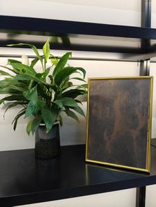 Cabine d'ascenseur d'acier inoxydable adaptée aux besoins du client par structure de haute résistance de cabine d'ascenseur d'entrepôt industriel - Product Image 2