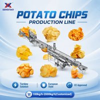 Ligne de production de frites surgelées 1000 kg/h, machine à fabriquer des chips de pommes de terre, équipement de traitement automatique des chips surgelées