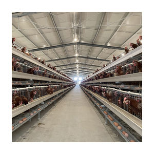 โรงเรือนเลี้ยง<span class=keywords><strong>ไก่</strong></span>แบบอัตโนมัติ<span class=keywords><strong>ราคา</strong></span>ประหยัดสำหรับไก่เนื้อและ<span class=keywords><strong>ไก่</strong></span>ไข่ขนาดใหญ่ - Product Image 5