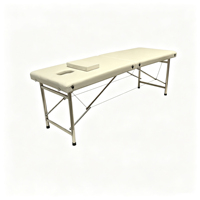 Table de massage professionnelle à 2 sections, pliable, avec pieds en acier inoxydable, lit de spa pour thérapie