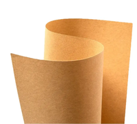 Rollos de Papel Kraft Marrón de 170 g/m², Pulpa de Madera Virgen Reciclada, Papel y Cartón Ecológicos de Calidad