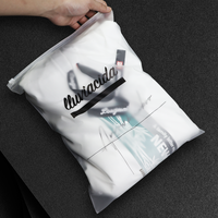 Zip Lock biodégradable logo imprimé personnalisé bijoux transparents sac en plastique givré t-shirt emballage sacs à fermeture éclair pour vêtements
