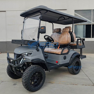 Carrito de Golf Eléctrico Profesional de Cuatro Plazas, Color Gris, Convertible, Ideal para Golf y Ocio - Product Image 5