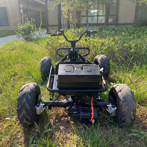 <strong>Electric</strong> 1200W 1000W Motor Pedal <strong>Go</strong> <strong>Karts</strong> for <strong>Adults</strong> 40V 20A Drive Racing Buggy Outdoor Track Off-Road Karting - Product Image 2